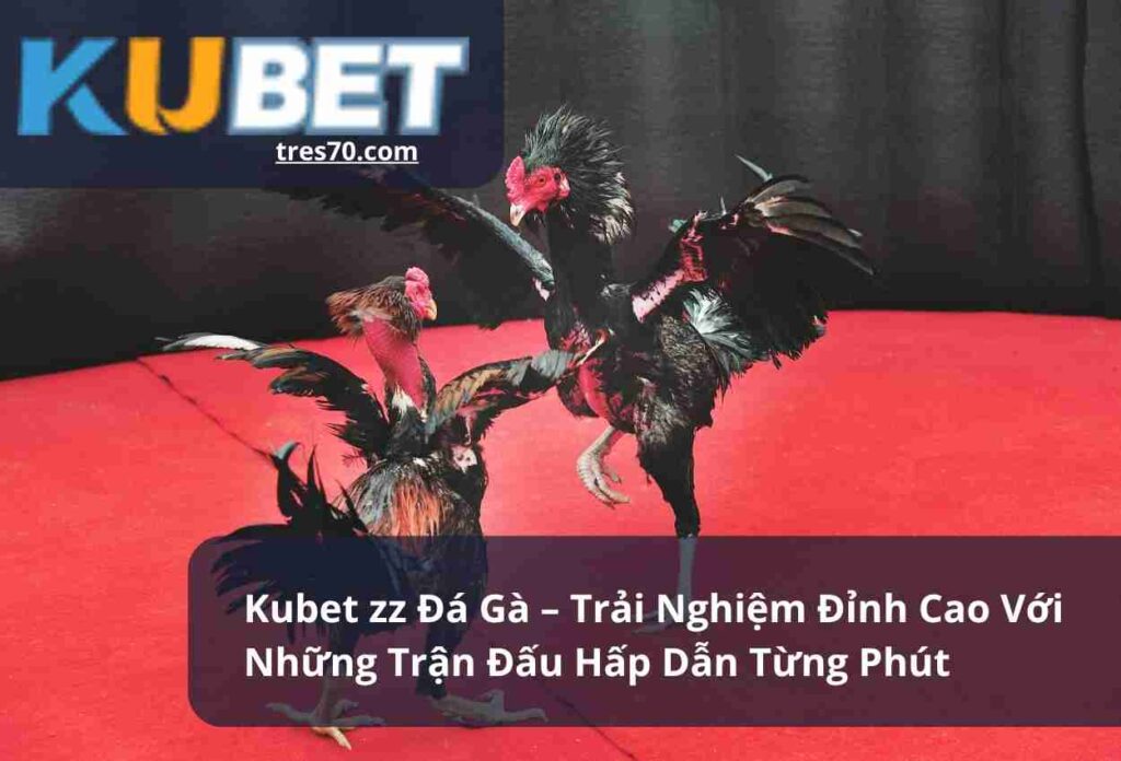 Kubet zz Đá Gà – Trải Nghiệm Đỉnh Cao Với Những Trận Đấu Hấp Dẫn Từng Phút